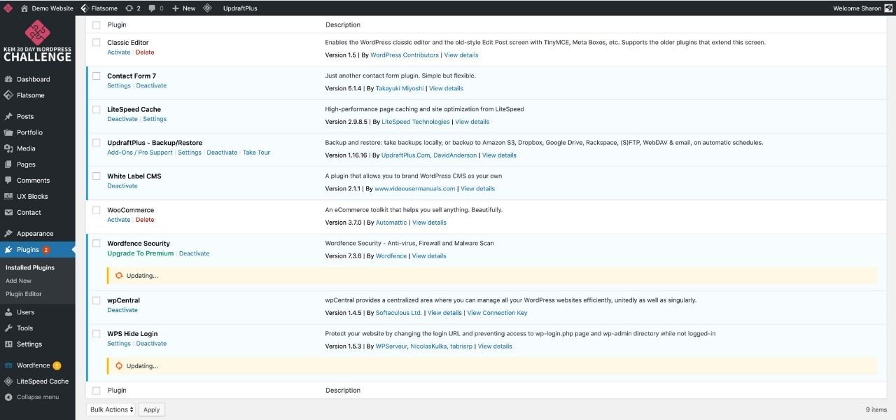 7 Must Have Plugins: List of Must-Have Plugins: Screenshot of Plugins List WordPress Backend